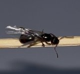 IMG_0387.jpeg