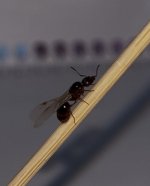 IMG_0386.jpeg