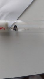 IMG-20250505-WA0001.jpeg