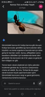 Screenshot_20250506_223607_Google.jpg