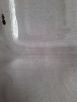 20250507_160042.jpg