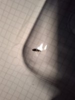 20250507_165734.jpg