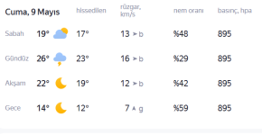 karınca.png