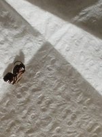 20250507_174608.jpg