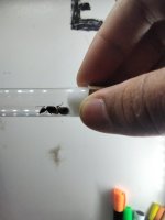 20250507_182148.jpg