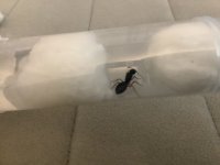 IMG_1197.jpeg