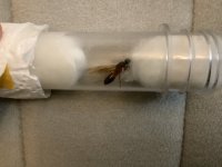 IMG_1203.jpeg