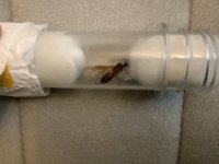 IMG_1202.jpeg