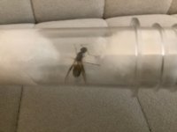 IMG_1200.jpeg