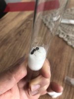 IMG_7227.jpeg