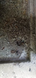 IMG_20250508_152126.jpg