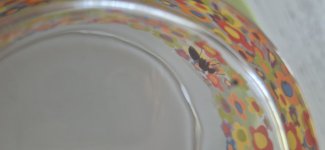 20250508_181438.jpg