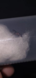 20250508_195426.jpg