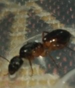 IMG_20250508_201005175.jpg