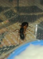 IMG_20250508_200907164.jpg