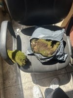 IMG_9213.jpeg