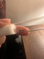 IMG_9219.jpeg