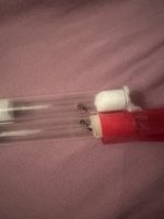 IMG_9238.jpeg