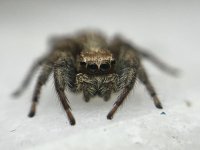 IMG_0872.jpeg
