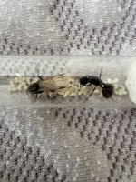 IMG_0345.jpeg