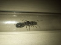 IMG_20250509_195228.jpg