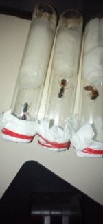 IMG_20250509_202229.jpg