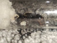 IMG_20250409_160038.jpg