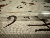 IMG_2512.jpeg