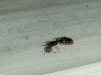 IMG_20250510_001200_1.jpg