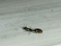 IMG_20250510_001155.jpg
