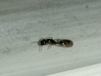 IMG_20250510_001158_1.jpg