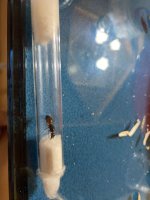 IMG_1820.jpeg