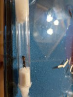 IMG_1819.jpeg