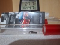 IMG-20250510-WA0082.jpg