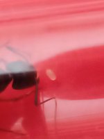IMG_20250511_164303.jpg