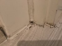 IMG_3983.jpeg