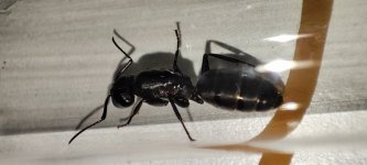 IMG_20250511_200510.jpg