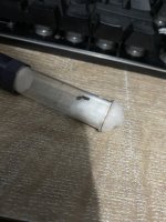 IMG_0355.jpeg