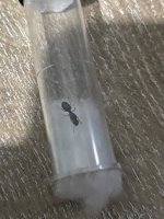 IMG_0354.jpeg