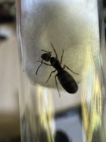 IMG_0381.jpeg