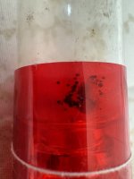 IMG_4530.jpeg