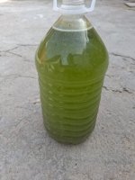 ş3.jpg