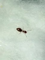 IMG_20250512_202208_786.jpg