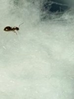 IMG_20250512_202202_509.jpg