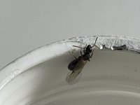 IMG_2579.jpeg