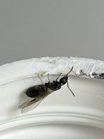 IMG_2574.jpeg