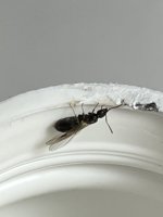 IMG_2573.jpeg