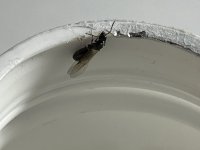 IMG_2578.jpeg