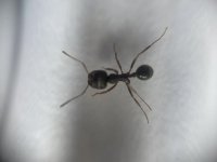 IMG_3324.jpeg