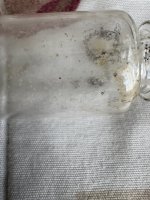 IMG_4560.jpeg